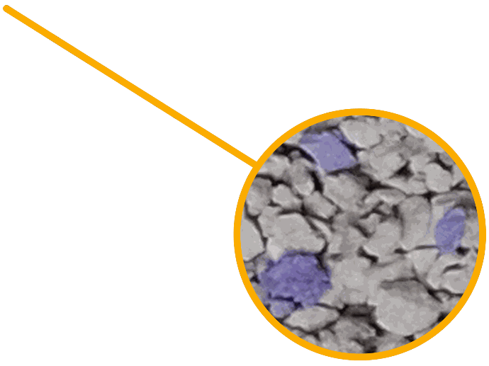 Vista de Arena Con Aroma Cat-Life Zero por Grupo Bentomex